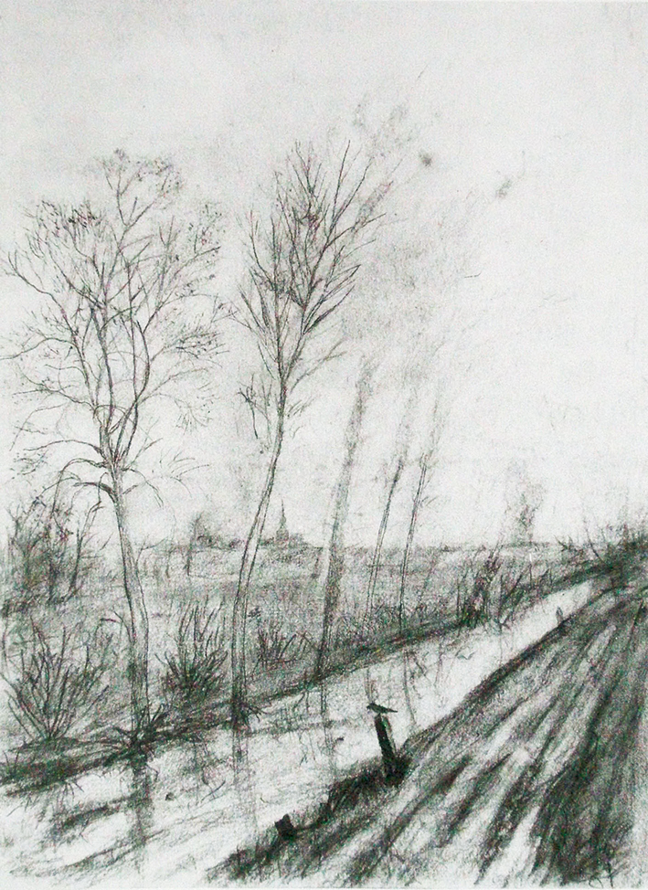  文森特·威廉·梵高  Vincent Willen Van Gogh —— 树 (17)